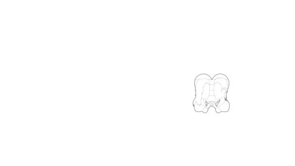 레즈비언 커플의 아이콘 애니메이션 — 비디오