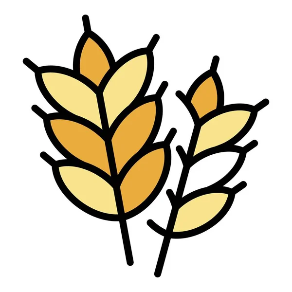 Ícone de planta de trigo vetor de contorno de cor — Vetor de Stock
