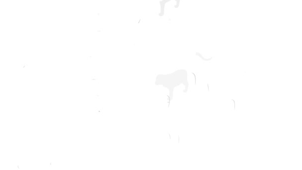 Анимация иконы белого тигра — стоковое видео