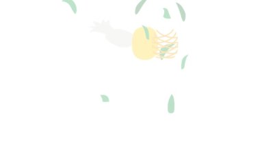 Ananas simgesi canlandırması