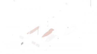 Korsan gemisi simgesi canlandırması