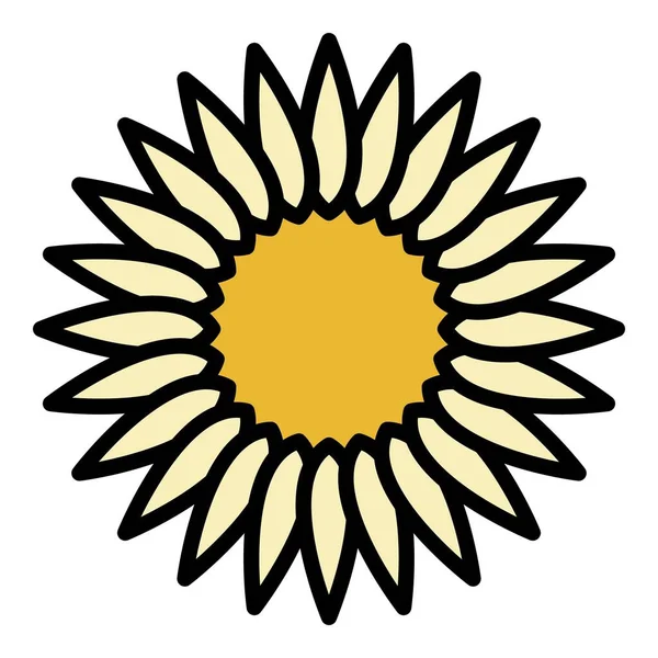 Sonnenblumen Blütenstand Symbol Farbe Umrissvektor — Stockvektor