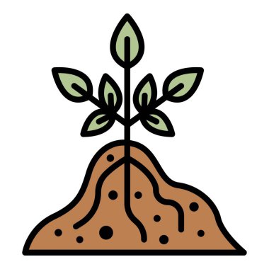 Kök bitki simgesi renk ana hatları vektörü