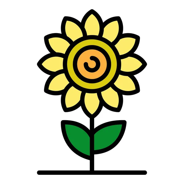 Sonnenblumen-Symbol Farbe Umrissvektor — Stockvektor