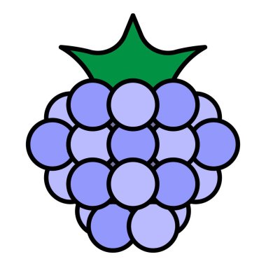 Doğal ahududu simgesi renk ana hatları vektörü