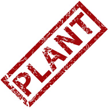 Bitki pencere boyutu 