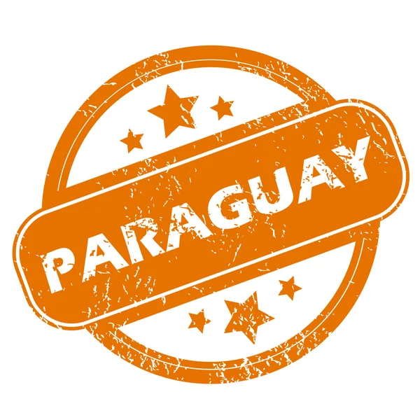 Paraguay icono grunge — Archivo Imágenes Vectoriales