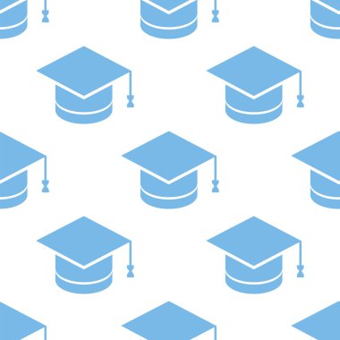 Bilgi seamless modeli