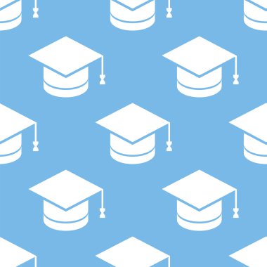 Bilgi seamless modeli