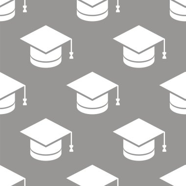 Bilgi seamless modeli