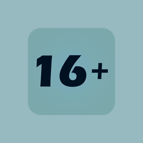 Azzurro 16 più icona — Vettoriale Stock