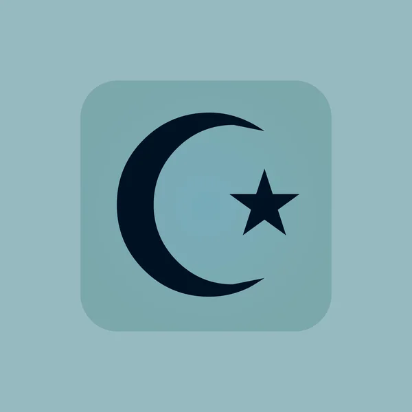 Pálido icono símbolo de Turquía azul — Archivo Imágenes Vectoriales