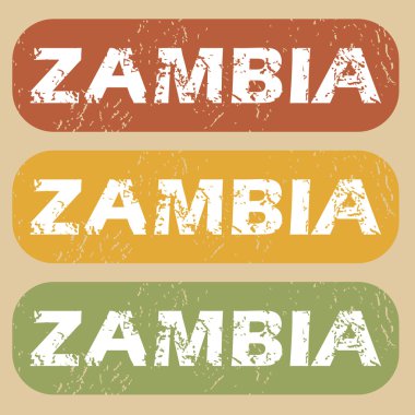 Vintage Zambiya Pul Seti