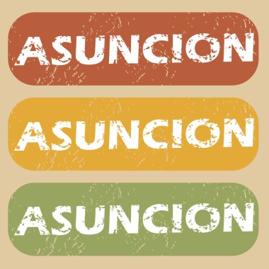 Vintage Asuncion Pul Seti