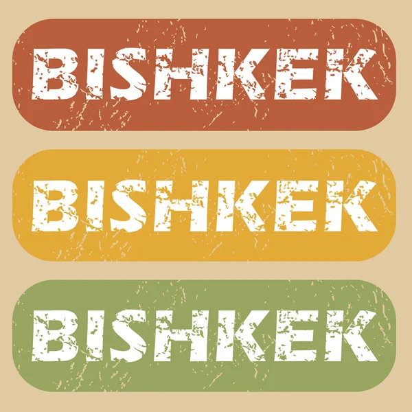 Ensemble de timbres vintage Bichkek — Image vectorielle