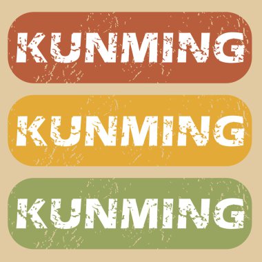 Vintage Kunming Pul Seti