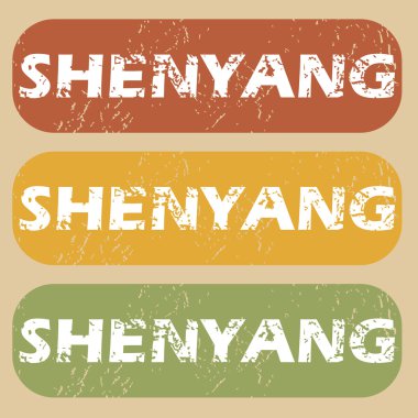 Vintage Shenyang Pul Seti