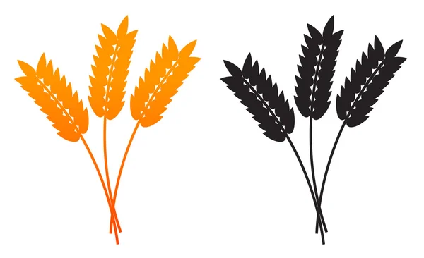 Ähren aus Weizen, Gerste oder Roggen — Stockvektor