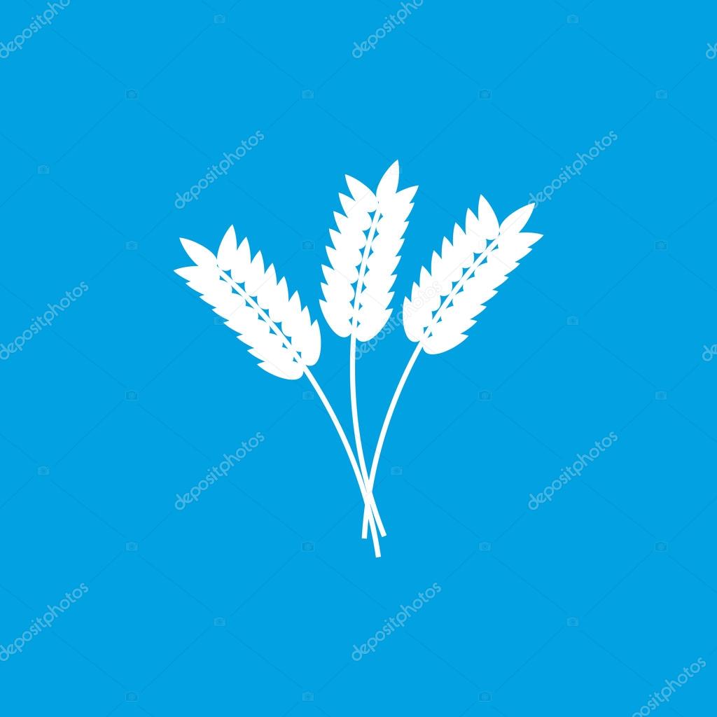 穀物アイコン 白 ストックベクター C Ylivdesign 8748