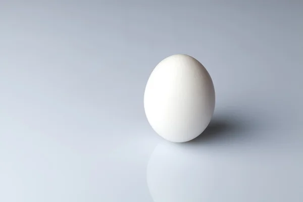 Jajko na szarym tle — Zdjęcie stockowe