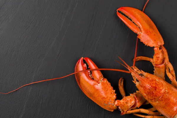 Langosta cocida sobre negro — Foto de Stock