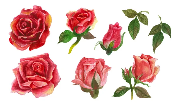 Set Aus Rosa Aquarell Elementen Vektorillustration — Stockvektor