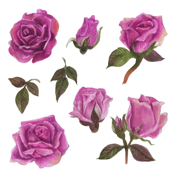 Set Aus Rosa Aquarell Elementen Vektorillustration — Stockvektor