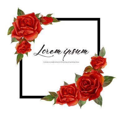 Gül suluboya çerçeve. Çiçek çelenk vektör çizimi.