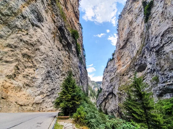 Bulgaristan 'ın Batı Rhodopes kentindeki Trigrad vadisinin dik kayaları arasındaki kıvrımlı yol.