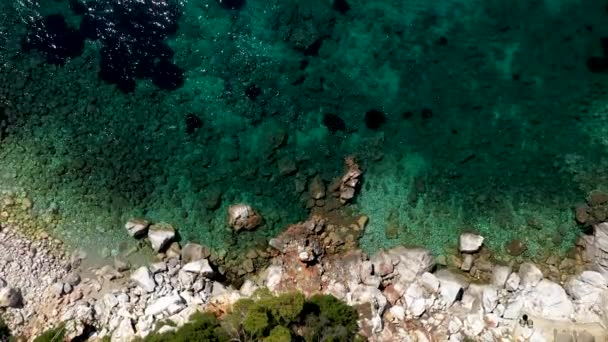 Vistas aéreas de drones sobre una costa rocosa, aguas cristalinas del mar Egeo, playas turísticas y mucha vegetación en la isla de Skopelos, Grecia. Una vista típica de muchas islas griegas similares. — Vídeos de Stock