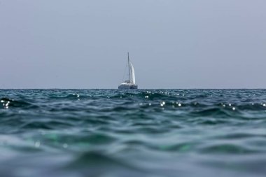 White sailing boat catamaran on ocean near beach. clipart