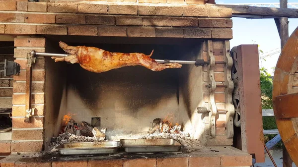 Spit Roasted Lambs, traditional way of roasting lambs on a rotisserie spit in Bulgaria. Cheverme.. Royalty Free Stock Images