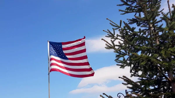 American Flag blowing in the wind with a blue sky background. USA American Flag. Waving United states of America famous flag in front of blue sky and green pine. Memorial Day - American concept. — Stock Photo, Image