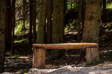 A beautiful wooden bench stands in the woods.