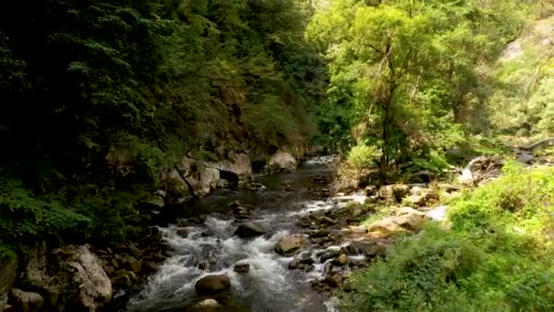 Voo baixo e lento sobre um rio de montanha a montante. Vida selvagem na Bulgária. Água fria azul de um rio de montanha. — Vídeo de Stock