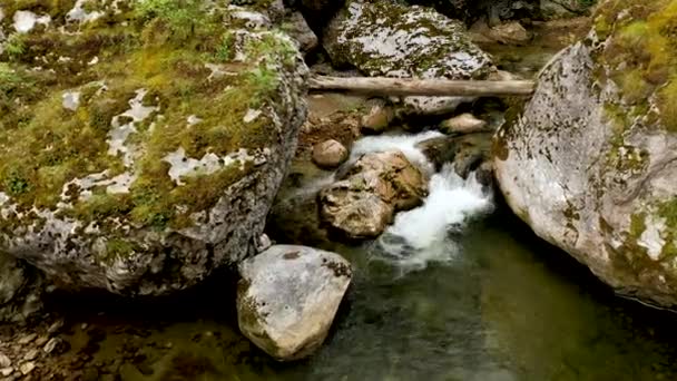 Vol lent et bas au-dessus d'une rivière de montagne en amont. Faune sauvage en Bulgarie. Eau froide bleue d'une rivière de montagne. — Video