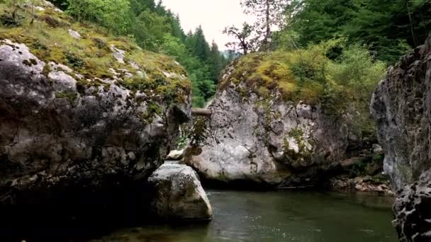 Vol lent et bas au-dessus d'une rivière de montagne en amont. Faune sauvage en Bulgarie. Eau froide bleue d'une rivière de montagne. — Video