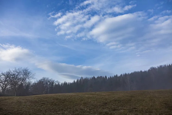 Graz, Avusturya 'da sisli ormanın güneşli ve bulutlu sabahları gökyüzü kapalı.. — Stok fotoğraf