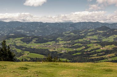 Sarı-yeşil tepe ve gökyüzü bulutlu. Orman. Yabani otlar. Karışık ot. Yaz güneşli gün. Güzel yaz manzara.