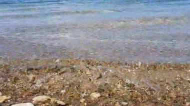 Kristal berraklığında sığ bir su, çakıllı bir sahil manzarası ve nazik dalgalar. Doğa, seyahat, tatil, rahatlama, deniz kenarı manzarası ve açık hava görselleri için idealdir..