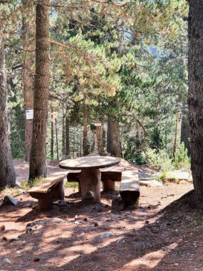 Tenha bir köy piknik masası ve benekli güneş ışığı ve yumuşak çam iğnesi zemin örtüsü ile uzun çam ağaçlarının arasına kurulmuş banklar, yürüyüşçüler, aileler veya doğa severler için davetkar bir dinlenme yeri..