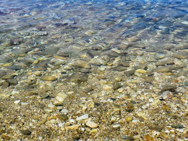 Kristal berrak sığ su çakıl taşı plajı üzerinde yavaşça dalgalanır, yüzeyin altında görünen güneş ışığı taşları dokulu desenler ve sakin, huzurlu bir sahil atmosferi yaratır doğa ve seyahat görüntüleri için mükemmeldir..