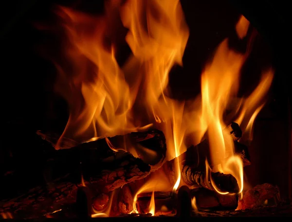 木の燃える火します。 — ストック写真