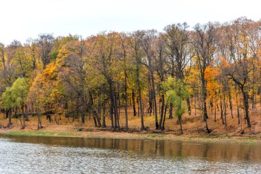 Bogoroditsky Sarayı 'nın panoramik sonbahar manzarası ve Bogoroditsk' te park yeri. Parkta portakal sarısı ağaçlar olan sarayın muhteşem sonbahar manzarası.