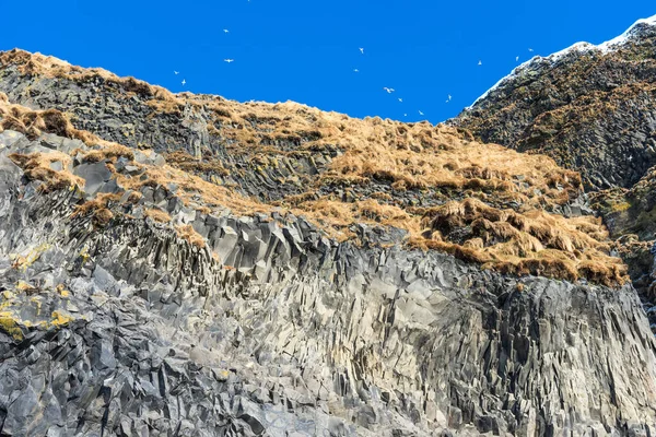 Colonnes Basalte Noir Reynisfjara Célèbre Plage Sable Noir Côte Sud — Photo