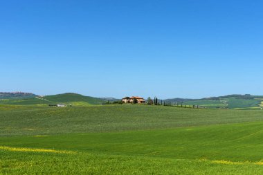 İnanılmaz bahar rengarenk manzarası. Güzel tarım arazileri, selvi ağaçları ve İtalya, Toskana 'da renkli bahar çiçekleri. Tipik Toskana taştan kırsal evi..
