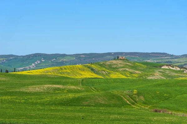 素晴らしい春のカラフルな風景 トスカーナ イタリアの美しい農地の田園風景 ヒノキの木やカラフルな春の花 花畑が広がる美しい春の風景 — ストック写真
