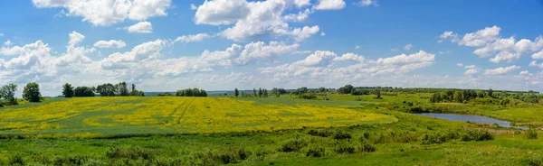 Panorama van grasland met gele bloemen, veld, weide, meer en groene bomen. — Stockfoto