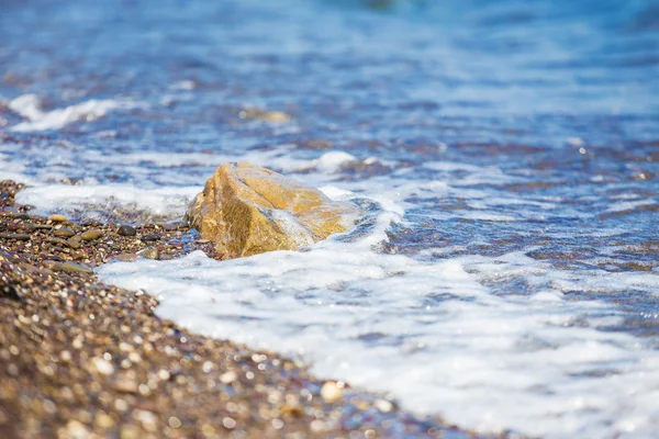 Surfa på havsstranden — Stockfoto