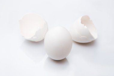 yumurta ve yumurta kabuğu